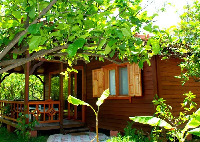 Baraka House